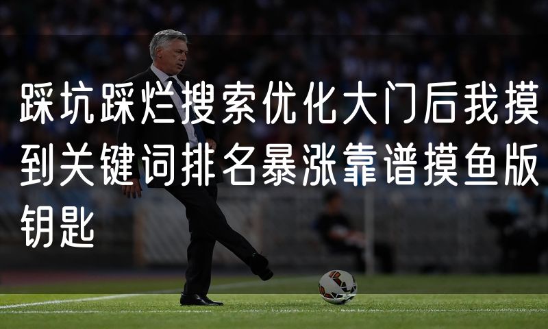 踩坑踩烂搜索优化大门后我摸到关键词排名暴涨靠谱摸鱼版钥匙