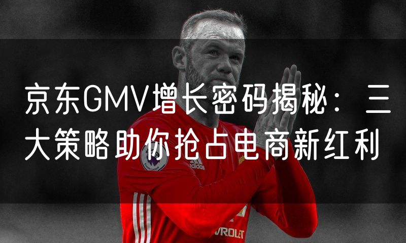 京东GMV增长密码揭秘:三大策略助你抢占电商新红利(5)