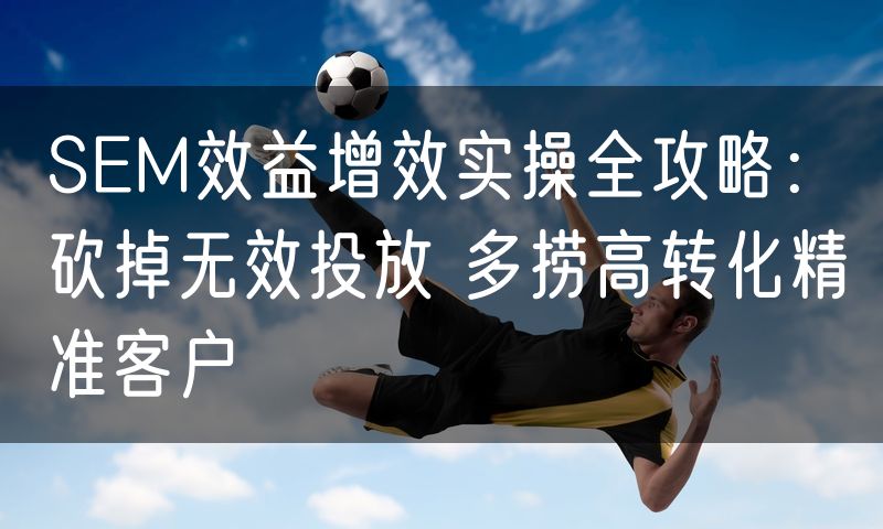 SEM效益增效实操全攻略：砍掉无效投放 多捞高转化精准客户(6)