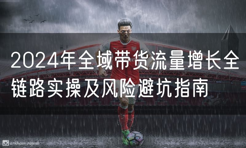 2024年全域带货流量增长全链路实操及风险避坑指南