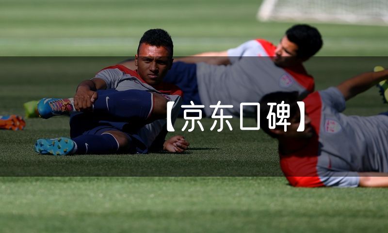 【京东口碑】(10)