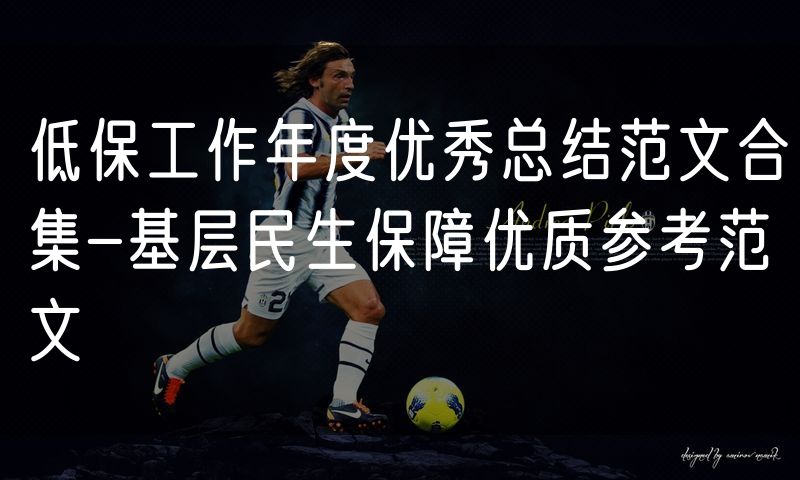 低保工作年度优秀总结范文合集-基层民生保障优质参考范文