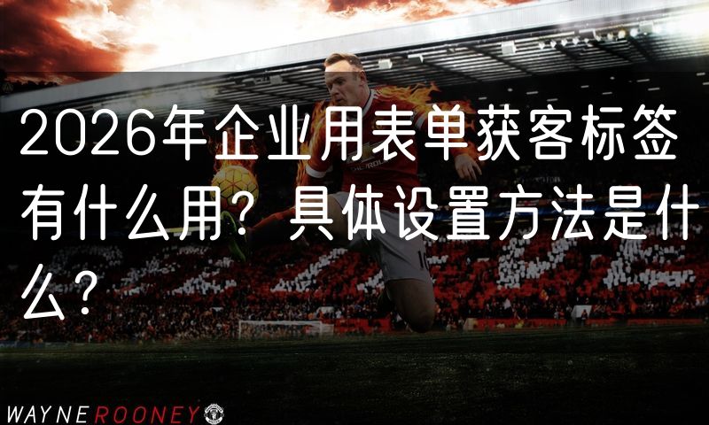 2026年企业用表单获客标签有什么用？具体设置方法是什么？(5)