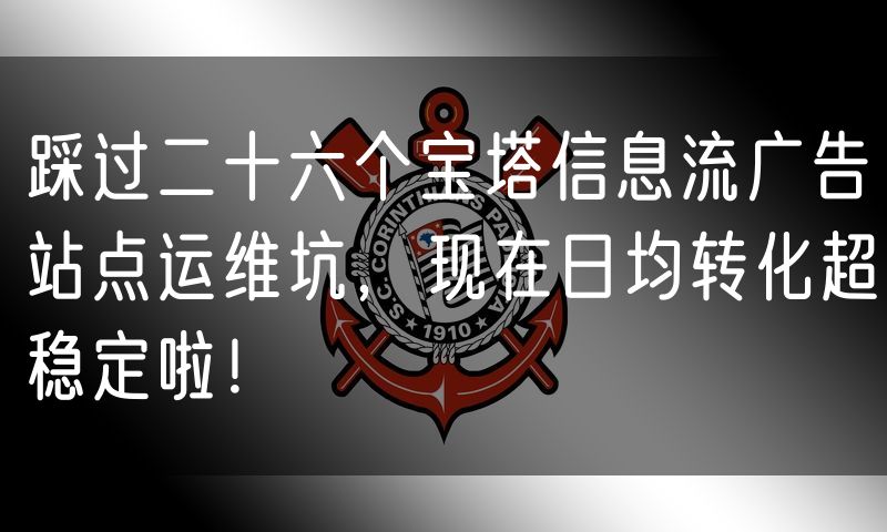 踩过二十六个宝塔信息流广告站点运维坑，现在日均转化超稳定啦！