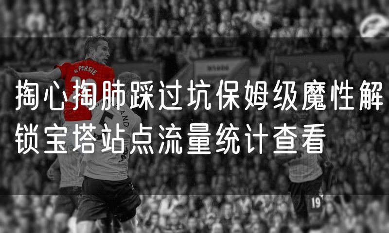 掏心掏肺踩过坑保姆级魔性解锁宝塔站点流量统计查看
