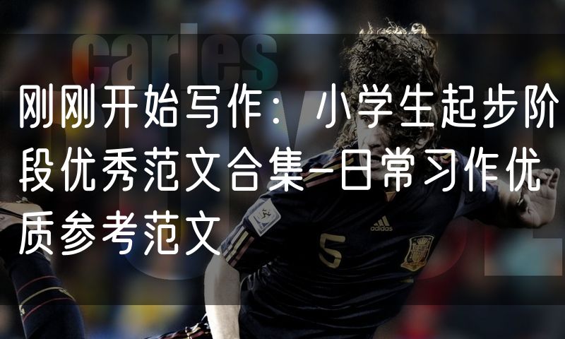 刚刚开始写作:小学生起步阶段优秀范文合集-日常习作优质参考范文
