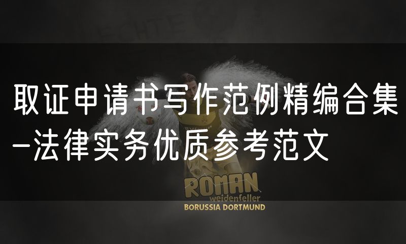 取证申请书写作范例精编合集-法律实务优质参考范文