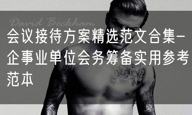 会议接待方案精选范文合集-企事业单位会务筹备实用参考范本
