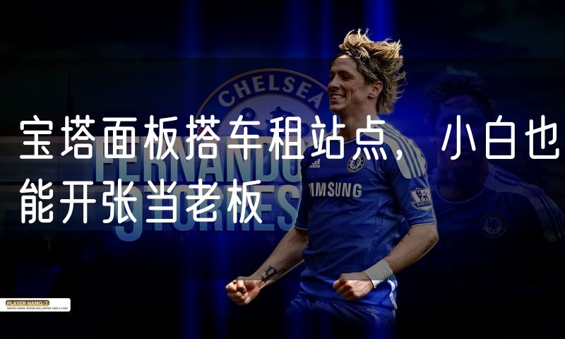 宝塔面板搭车租站点，小白也能开张当老板