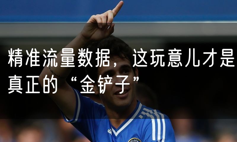 精准流量数据,这玩意儿才是真正的“金铲子”