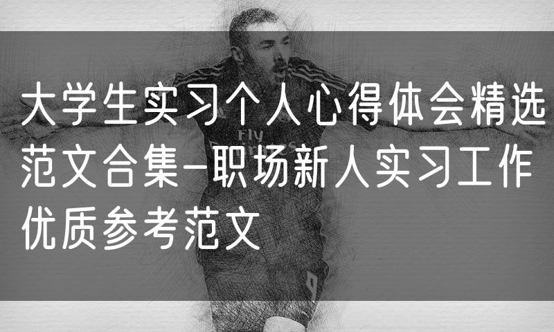 大学生实习个人心得体会精选范文合集-职场新人实习工作优质参考范文