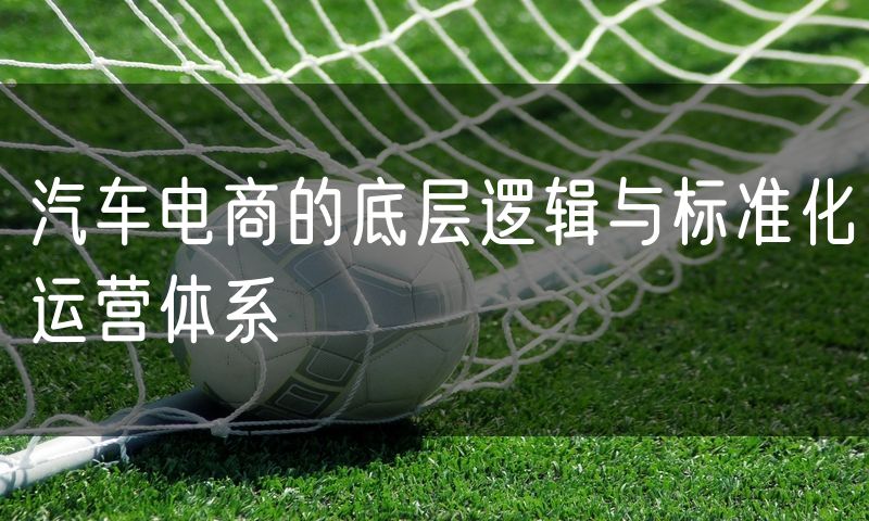汽车电商的底层逻辑与标准化运营体系