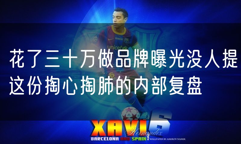花了三十万做品牌曝光没人提这份掏心掏肺的内部复盘