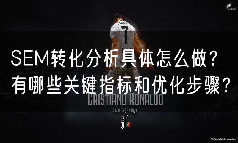 SEM转化分析具体怎么做？有哪些关键指标和优化步骤？(0)