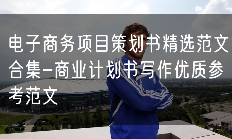 电子商务项目策划书精选范文合集-商业计划书写作优质参考范文
