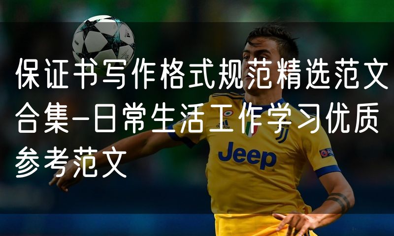保证书写作格式规范精选范文合集-日常生活工作学习优质参考范文