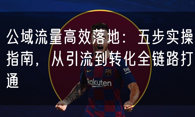 公域流量高效落地：五步实操指南，从引流到转化全链路打通