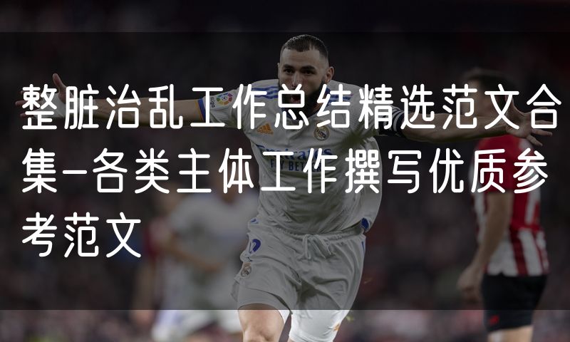 整脏治乱工作总结精选范文合集-各类主体工作撰写优质参考范文