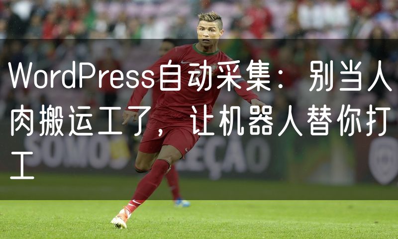 WordPress自动采集:别当人肉搬运工了,让机器人替你打工