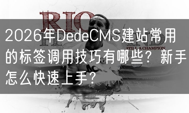 2026年DedeCMS建站常用的标签调用技巧有哪些？新手怎么快速上手？(6)