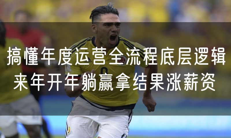 搞懂年度运营全流程底层逻辑 来年开年躺赢拿结果涨薪资