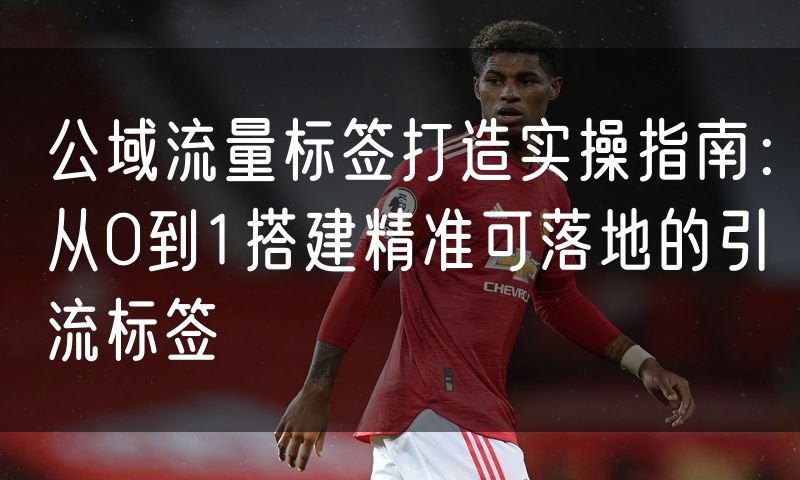 公域流量标签打造实操指南:从0到1搭建精准可落地的引流标签