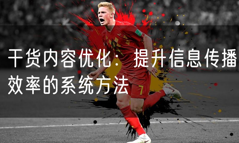 干货内容优化：提升信息传播效率的系统方法