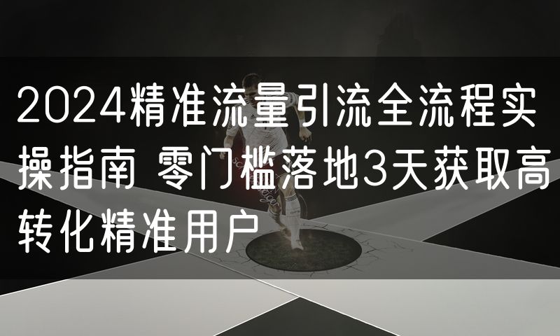 2024精准流量引流全流程实操指南 零门槛落地3天获取高转化精准用户