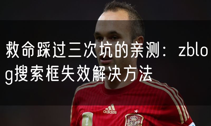救命踩过三次坑的亲测：zblog搜索框失效解决方法