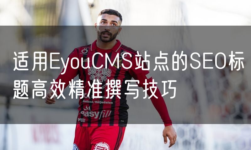 适用EyouCMS站点的SEO标题高效精准撰写技巧(0)