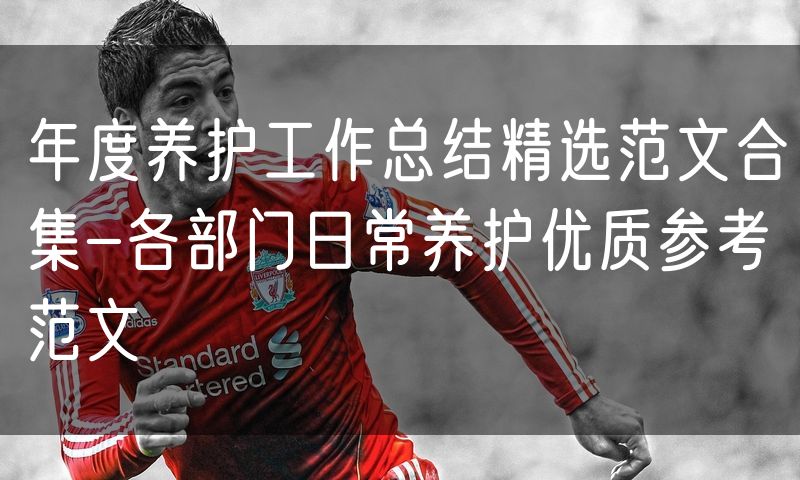 年度养护工作总结精选范文合集-各部门日常养护优质参考范文