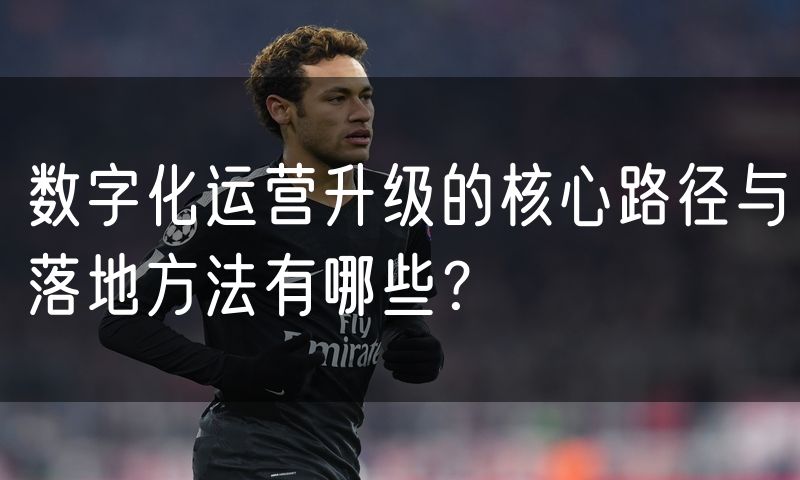 数字化运营升级的核心路径与落地方法有哪些?(4)