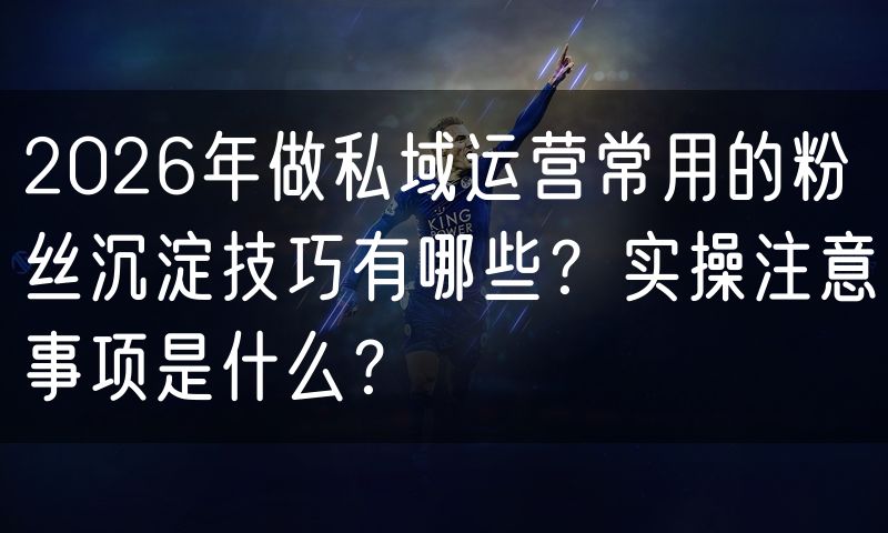 2026年做私域运营常用的粉丝沉淀技巧有哪些?实操注意事项是什么?