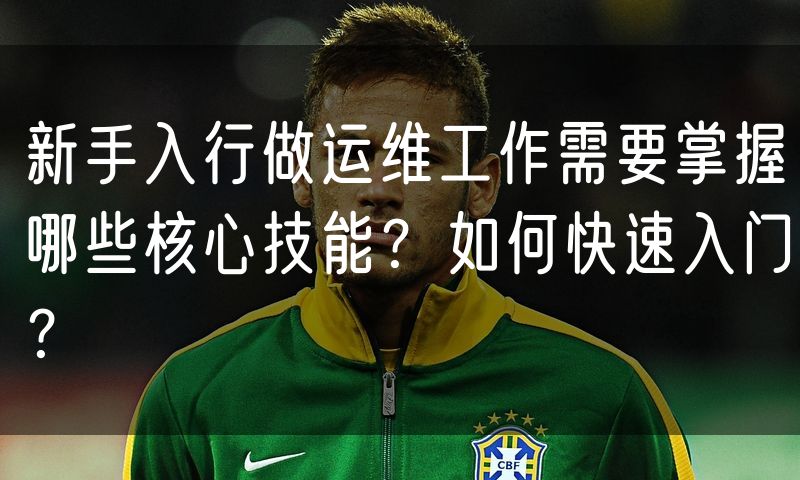 新手入行做运维工作需要掌握哪些核心技能?如何快速入门?(6)
