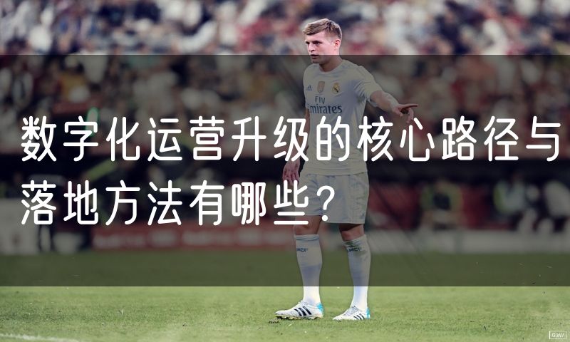 数字化运营升级的核心路径与落地方法有哪些?(0)