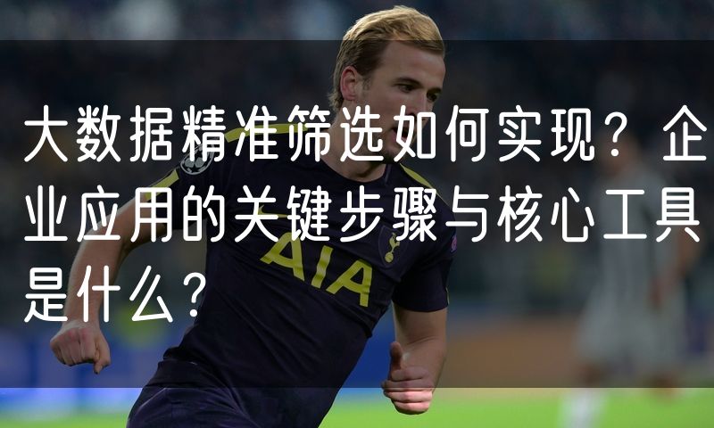 大数据精准筛选如何实现？企业应用的关键步骤与核心工具是什么？(18)