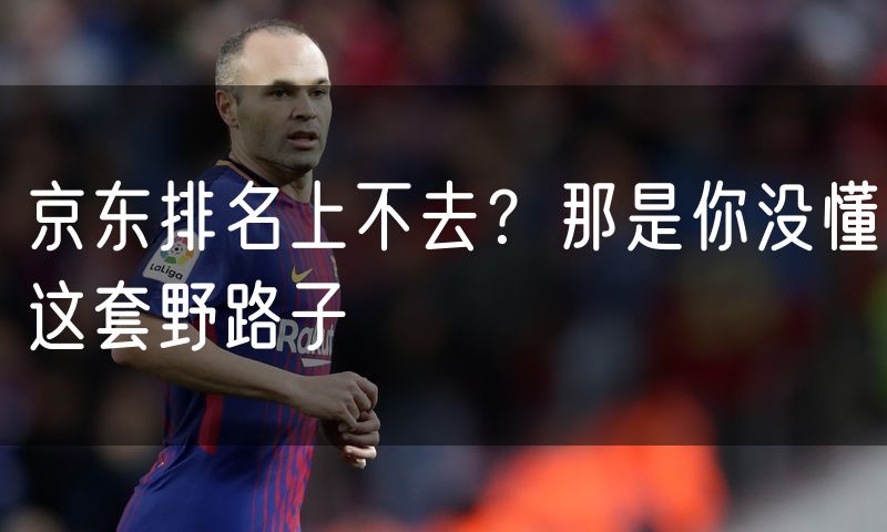 京东排名上不去?那是你没懂这套野路子