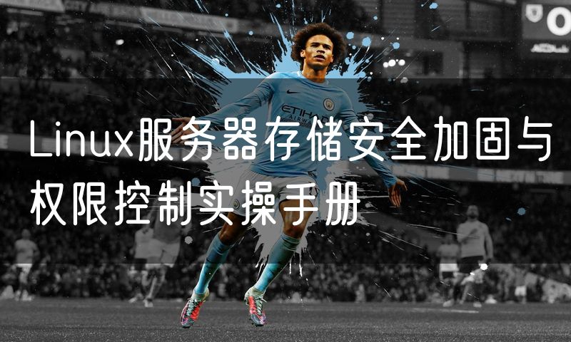 Linux服务器存储安全加固与权限控制实操手册
