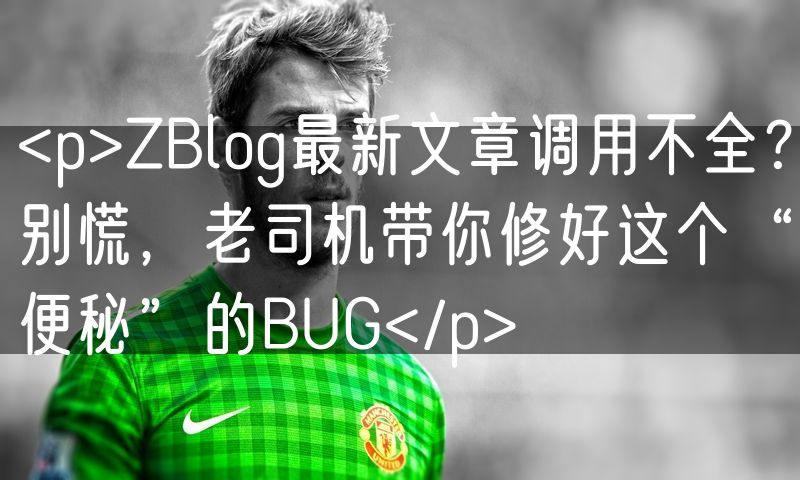 <p>ZBlog最新文章调用不全?别慌,老司机带你修好这个“便秘”的BUG</p>
