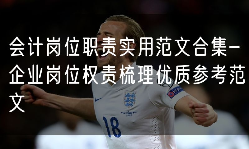 会计岗位职责实用范文合集-企业岗位权责梳理优质参考范文