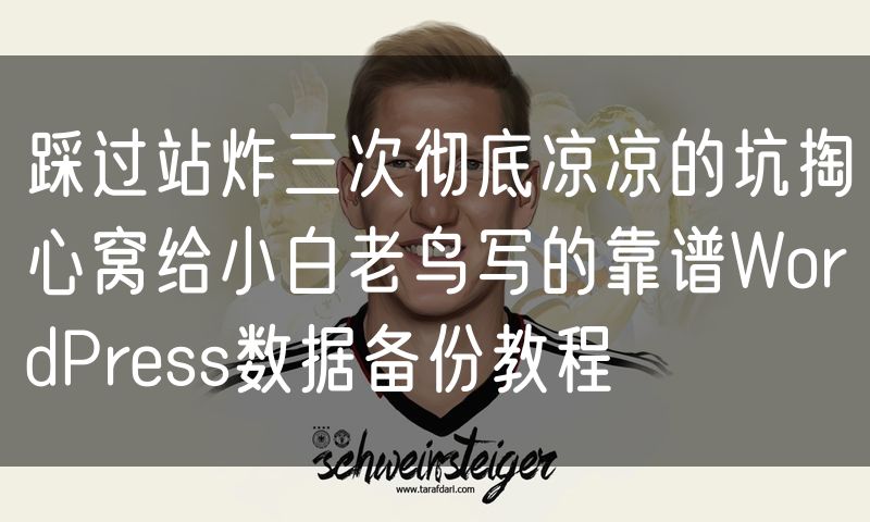 踩过站炸三次彻底凉凉的坑掏心窝给小白老鸟写的靠谱WordPress数据备份教程