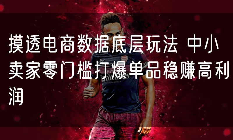 摸透电商数据底层玩法 中小卖家零门槛打爆单品稳赚高利润