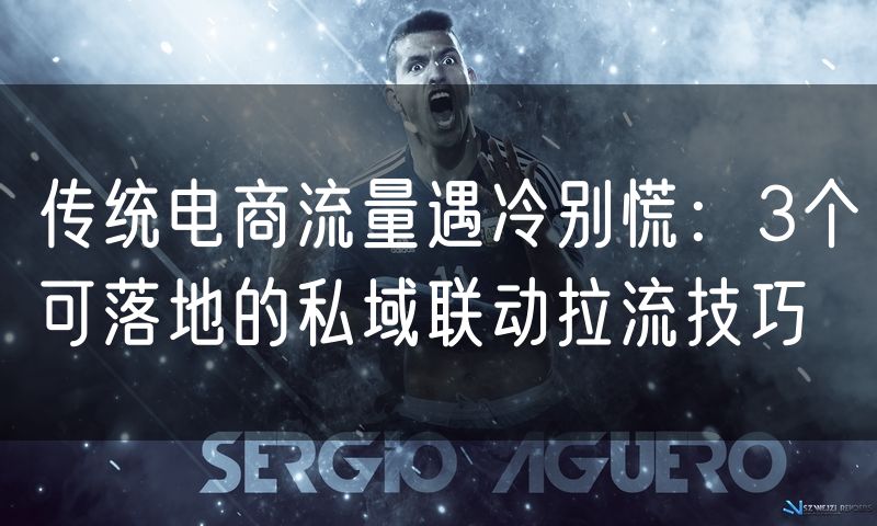 传统电商流量遇冷别慌:3个可落地的私域联动拉流技巧(0)