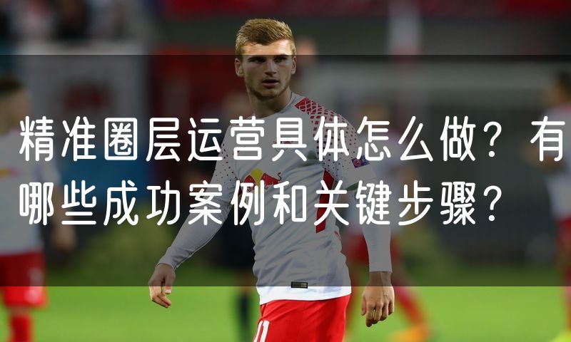 精准圈层运营具体怎么做?有哪些成功案例和关键步骤?