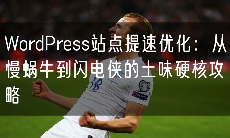 WordPress站点提速优化:从慢蜗牛到闪电侠的土味硬核攻略