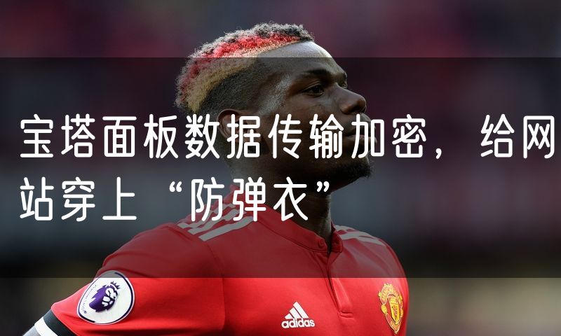 宝塔面板数据传输加密，给网站穿上“防弹衣”