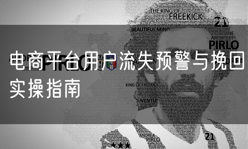 电商平台用户流失预警与挽回实操指南