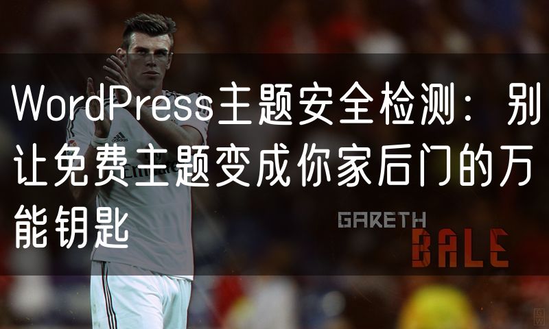 WordPress主题安全检测：别让免费主题变成你家后门的万能钥匙