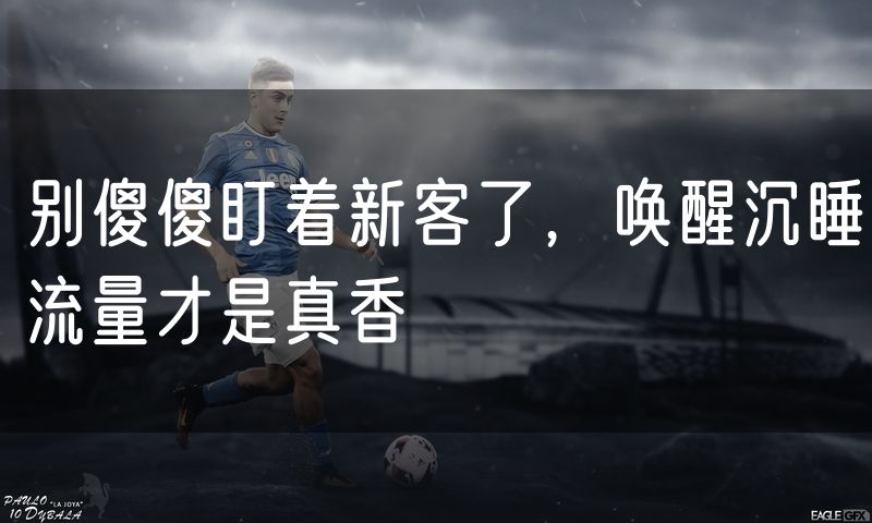 别傻傻盯着新客了,唤醒沉睡流量才是真香(9)