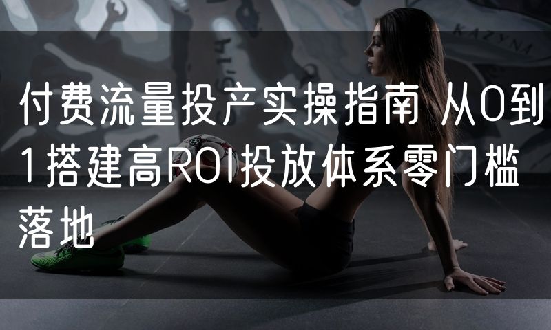 付费流量投产实操指南 从0到1搭建高ROI投放体系零门槛落地